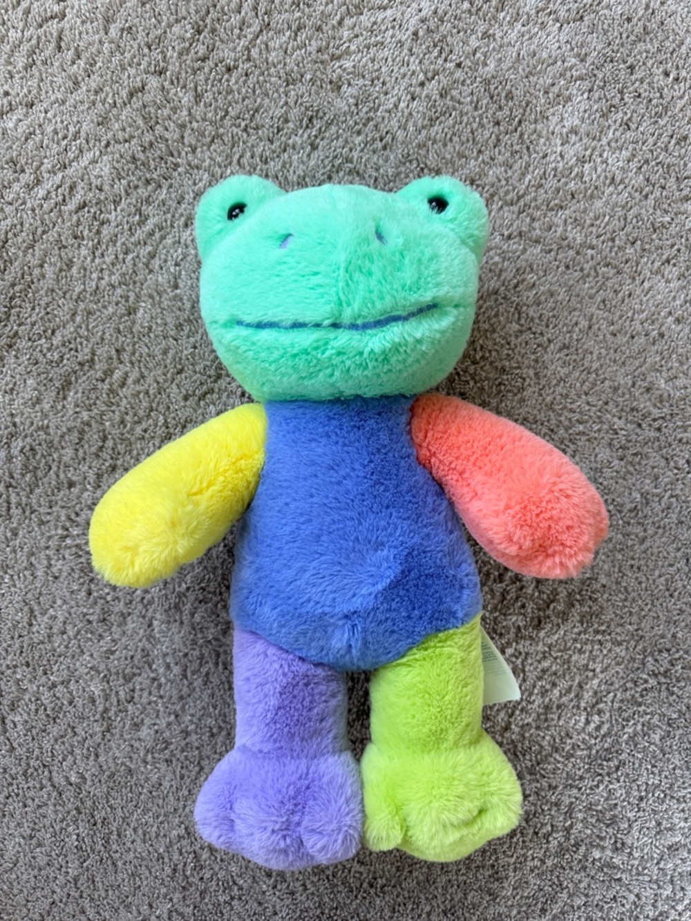 Build-A-Bear Colorblock Rainbow Frog Stuffed Animal